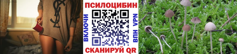 наркошоп  Печора  Галлюциногенные грибы GOLDEN TEACHER 